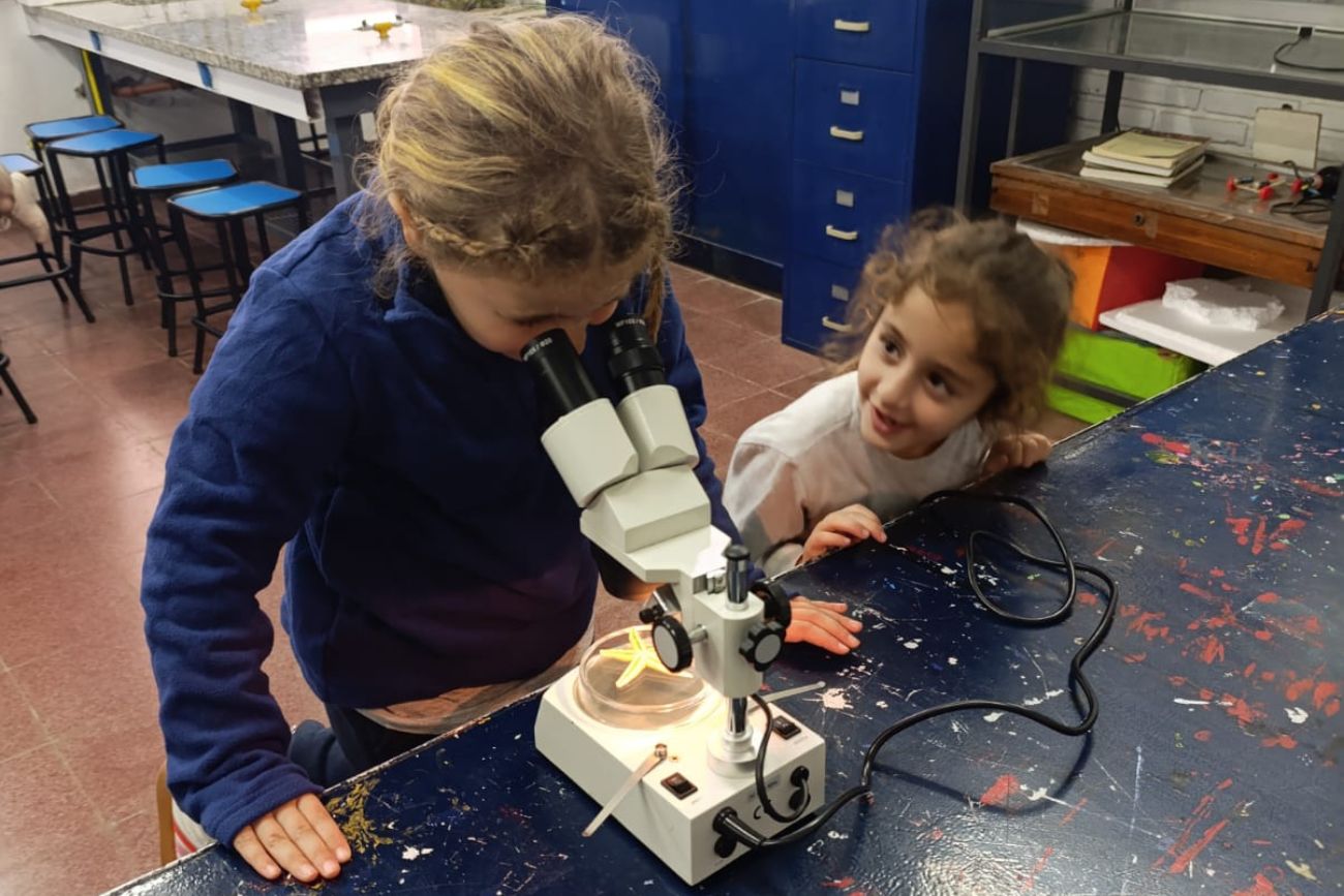 Ser científicos y científicas en la primaria: el estudio de una estrella de mar. (CUI).