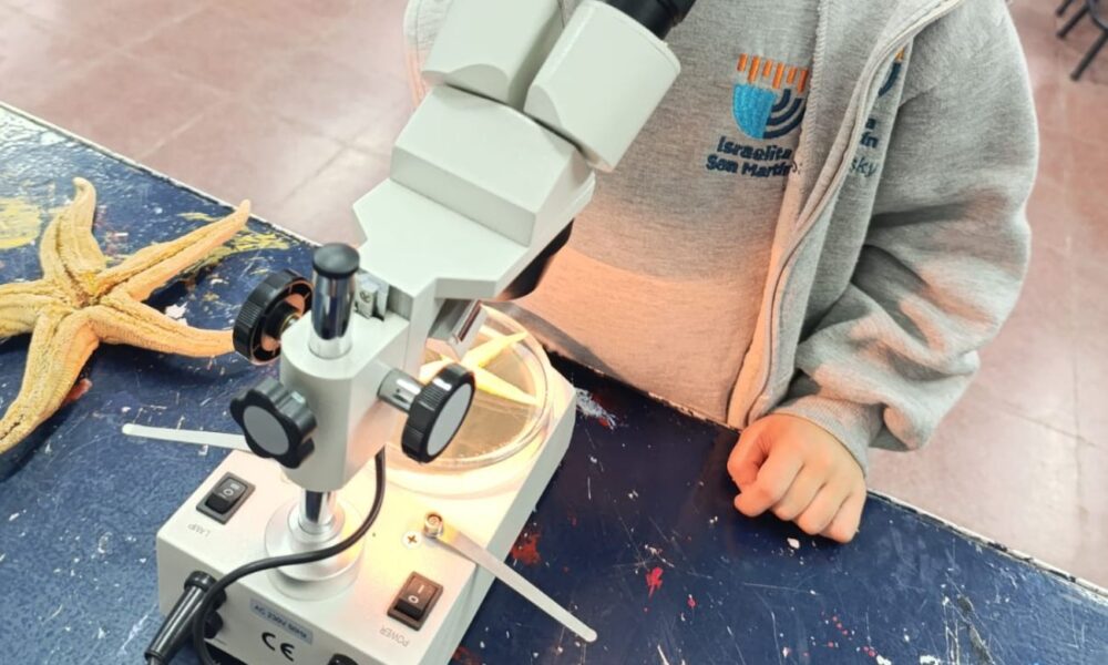 Ser científicos y científicas en la primaria: el estudio de una estrella de mar. (CUI).