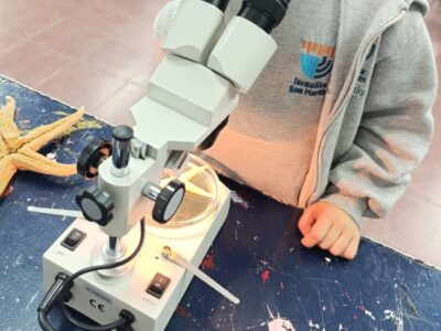 Ser científicos y científicas en la primaria: el estudio de una estrella de mar. (CUI).