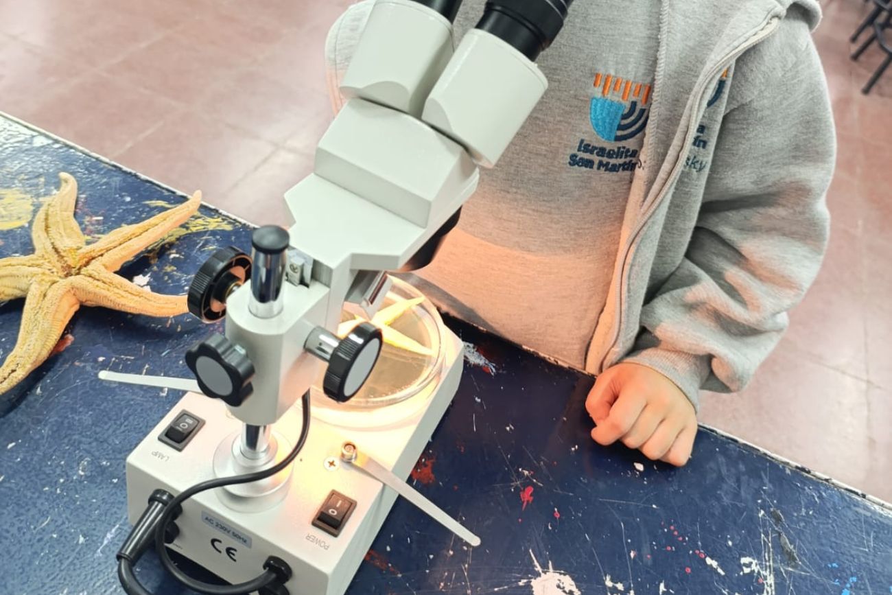 Ser científicos y científicas en la primaria: el estudio de una estrella de mar. (CUI).