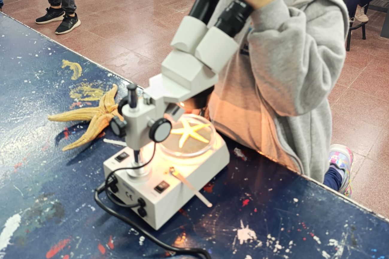 Ser científicos y científicas en la primaria: el estudio de una estrella de mar. (CUI).