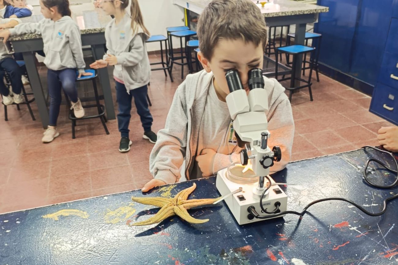 Ser científicos y científicas en la primaria: el estudio de una estrella de mar. (CUI).