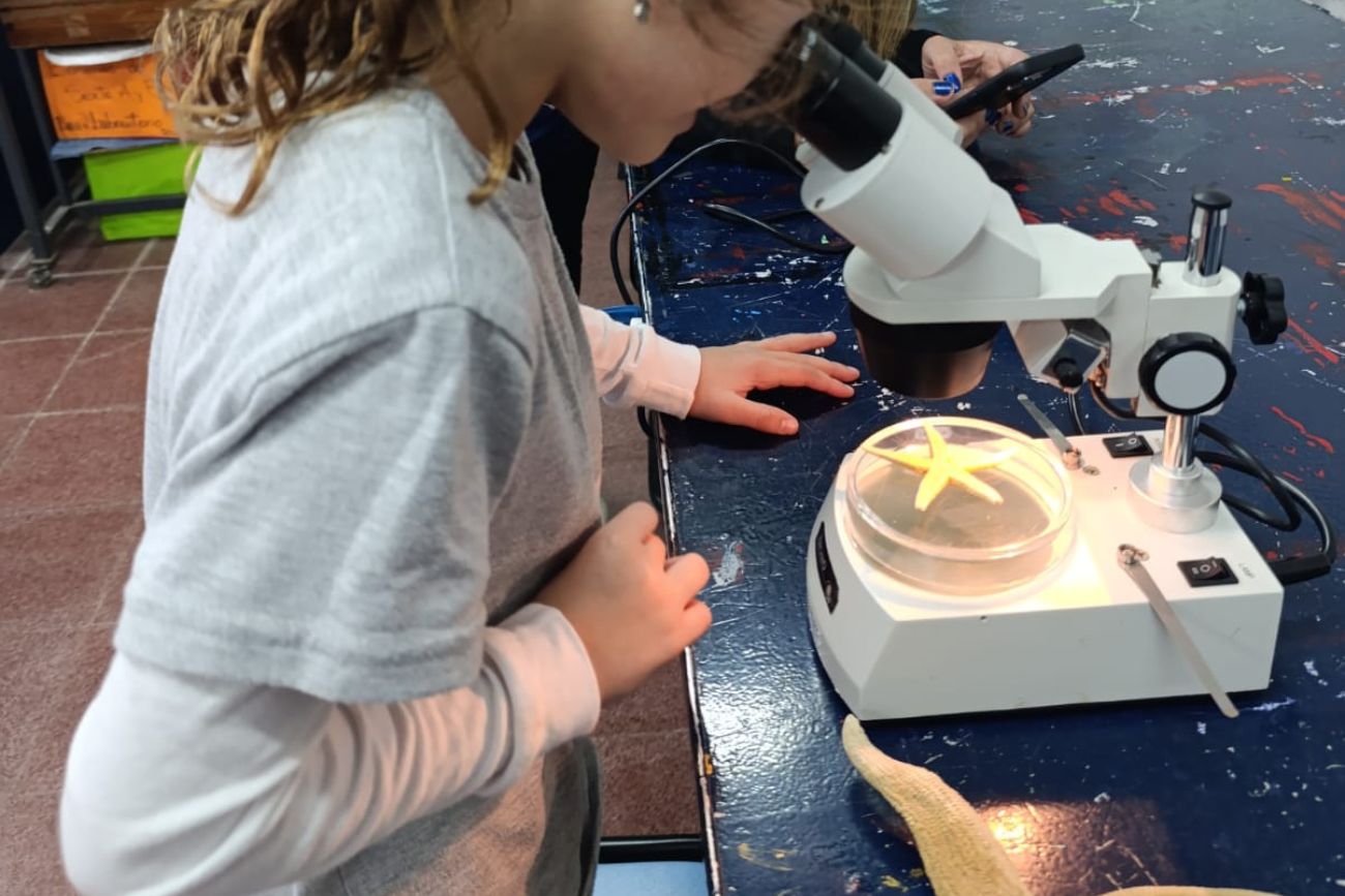 Ser científicos y científicas en la primaria: el estudio de una estrella de mar. (CUI).