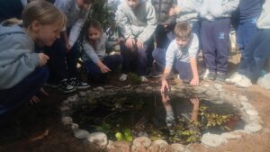 Los estudiantes colocaron plantas y peces en la laguna. (CUI).