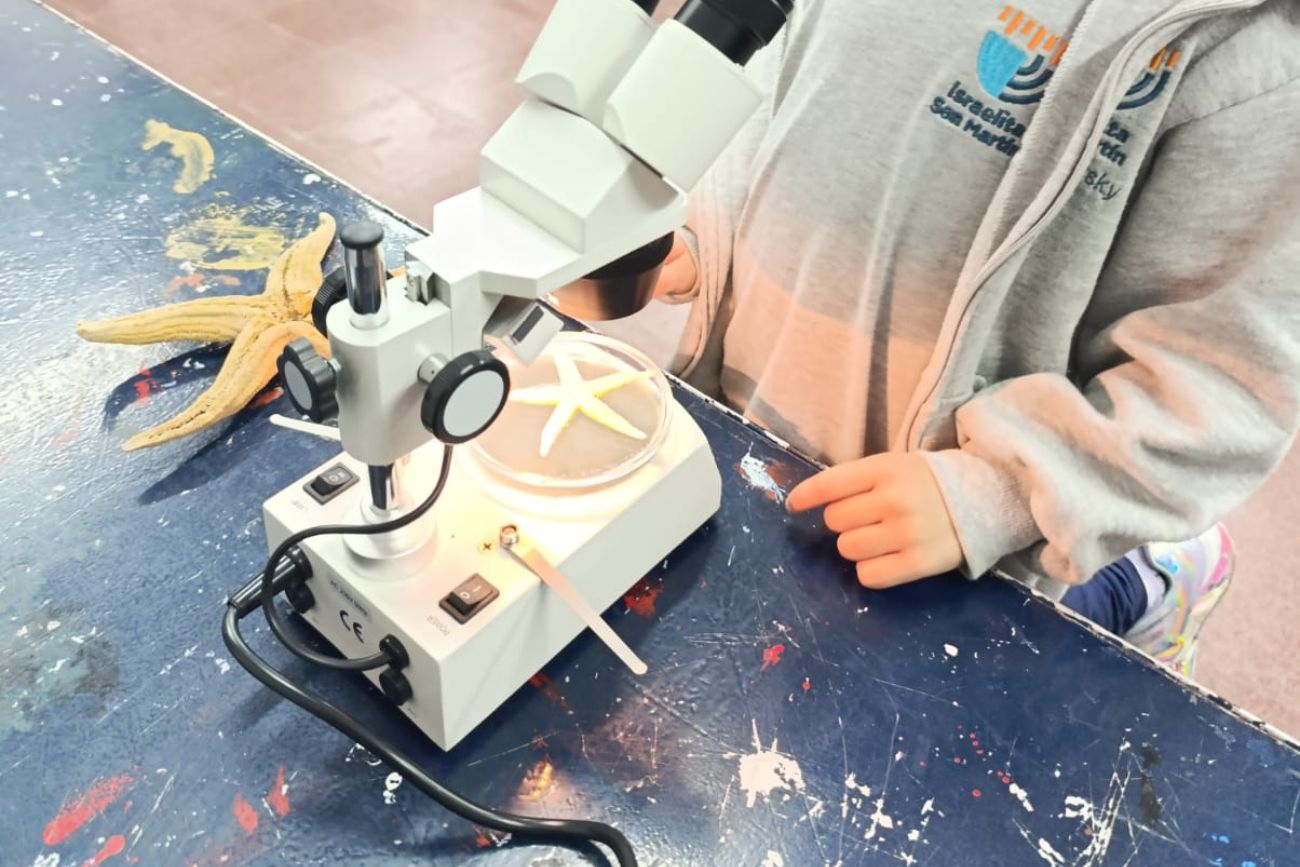 Ser científicos y científicas en la primaria: el estudio de una estrella de mar. (CUI).