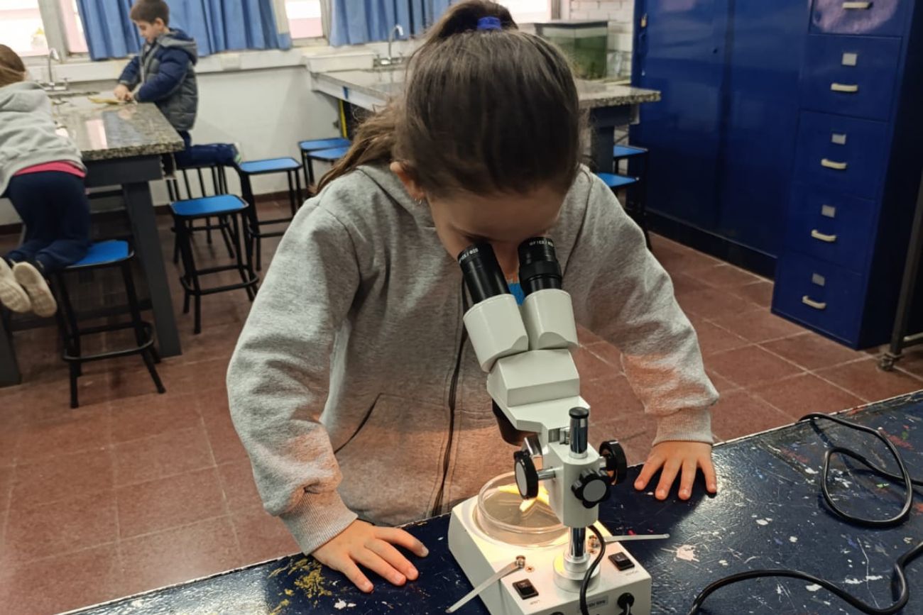 Ser científicos y científicas en la primaria: el estudio de una estrella de mar. (CUI).