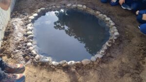Los estudiantes colocaron plantas y peces en la laguna. (CUI).
