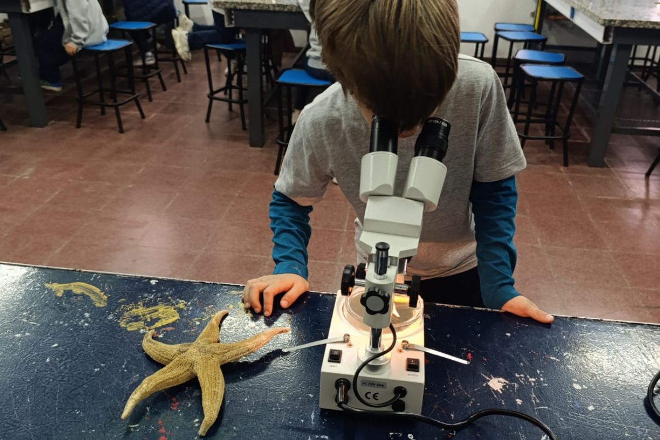 Ser científicos y científicas en la primaria: el estudio de una estrella de mar. (CUI).