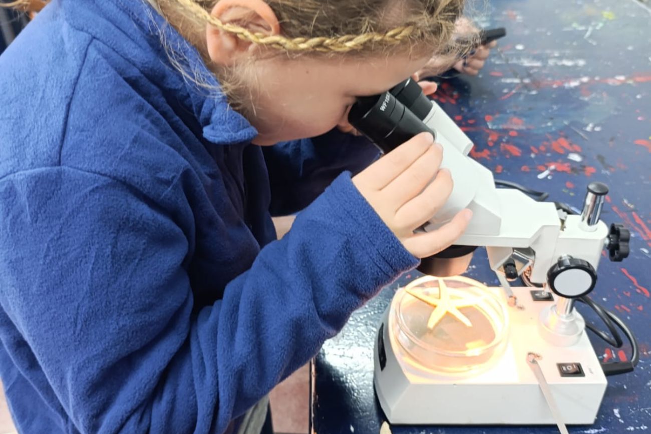 Ser científicos y científicas en la primaria: el estudio de una estrella de mar. (CUI).