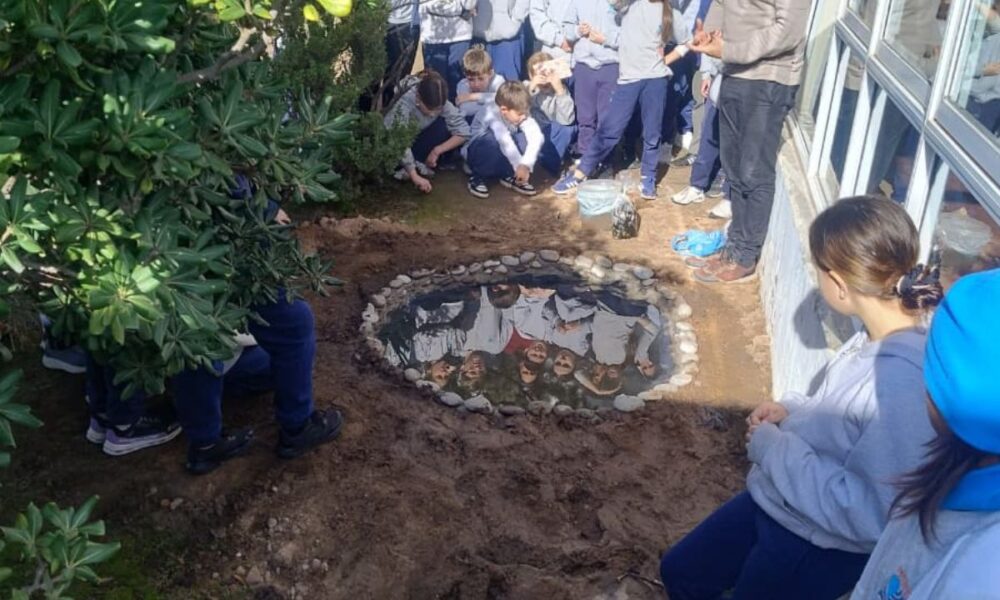 Los estudiantes colocaron plantas y peces en la laguna. (CUI).