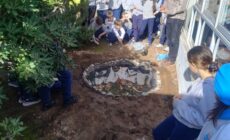Los estudiantes colocaron plantas y peces en la laguna. (CUI).