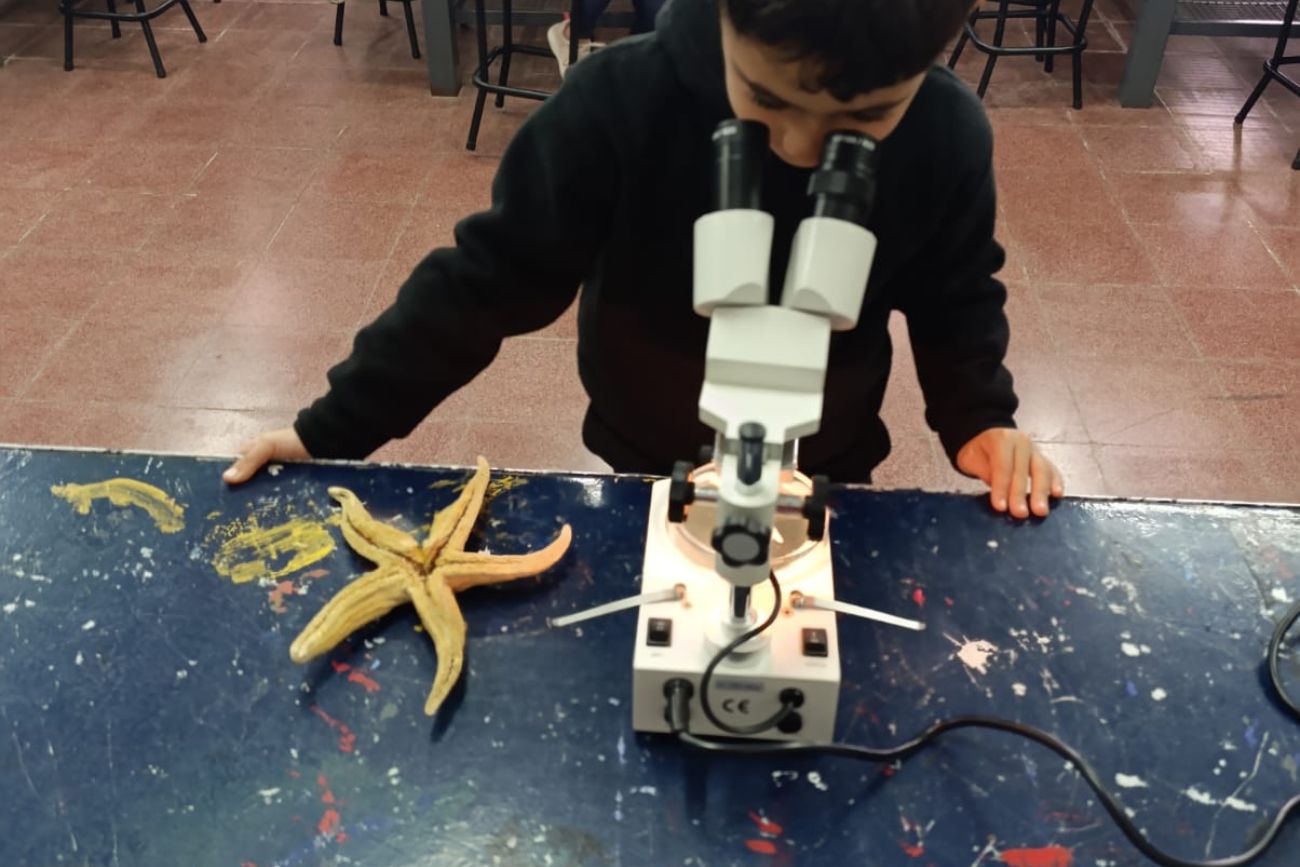Ser científicos y científicas en la primaria: el estudio de una estrella de mar. (CUI).
