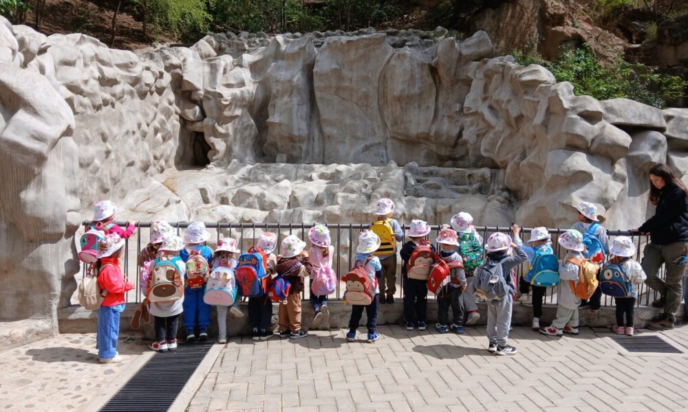 Pequeños exploradores del Gan descubrieron la fauna y la naturaleza de Córdoba. (CUI).